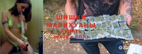 ПСИЛОЦИБИНОВЫЕ ГРИБЫ Баксан