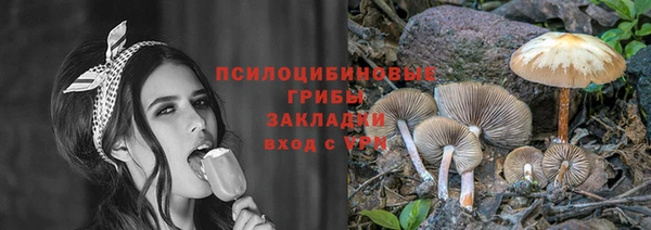 ПСИЛОЦИБИНОВЫЕ ГРИБЫ Баксан